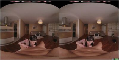 FuckPassVR - Big Pink in Portland - Anna De Ville (Oculus, Go 4K) Siterip - XXXStreams.org