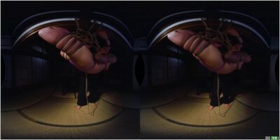 1710711975 602 Bondage VR Reverse Shrimp Suspension Oculus 4k Siterip